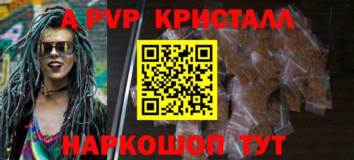 A PVP СК Владимир