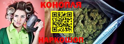 мяу мяу мука Малоярославец