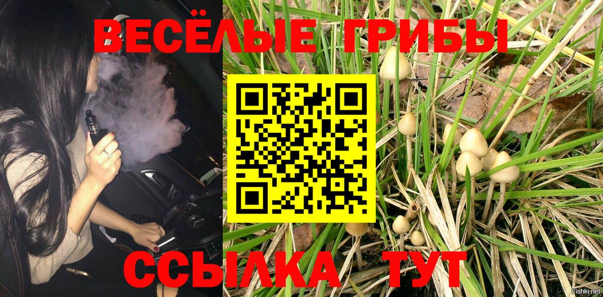 Псилоцибиновые грибы прущие грибы  магазин    Владимир  Вход с VPN 